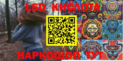 прущие грибы Канаш