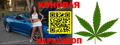 прущие грибы Канаш