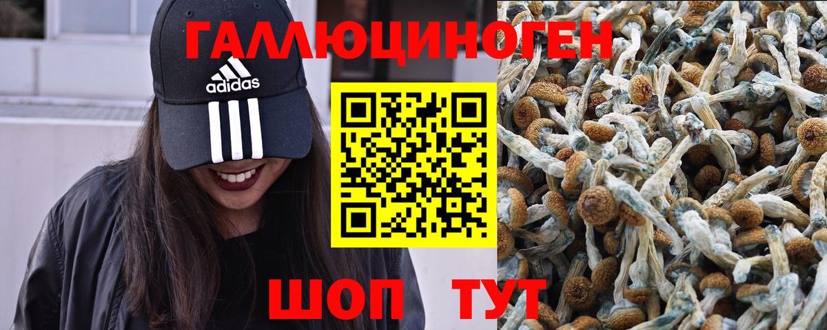 Псилоцибиновые грибы Psilocybine cubensis  Псилоцибиновые грибы Magic Shrooms  Качканар  Вход с VPN 