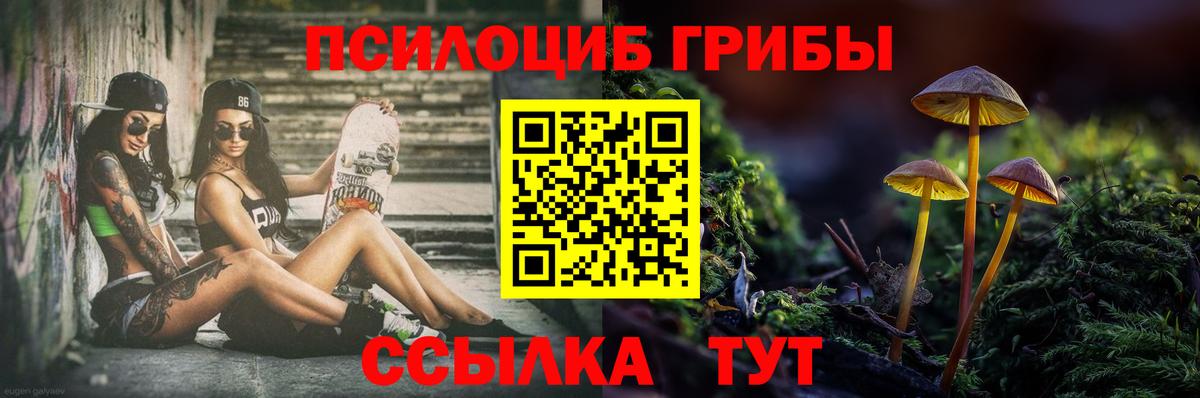 Галлюциногенные грибы Magic Shrooms Качканар
